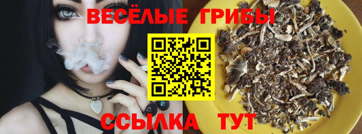 Псилоцибиновые грибы Cubensis  Псилоцибиновые грибы MAGIC MUSHROOMS  Ржев  Вход с VPN 